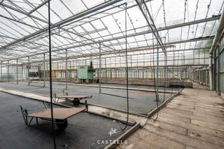 Op een rustig gelegen stukje landbouwgrond bevindt zich een ruime glazen serre met een oppervlakte van ongeveer 4000 m². Het terrein is...