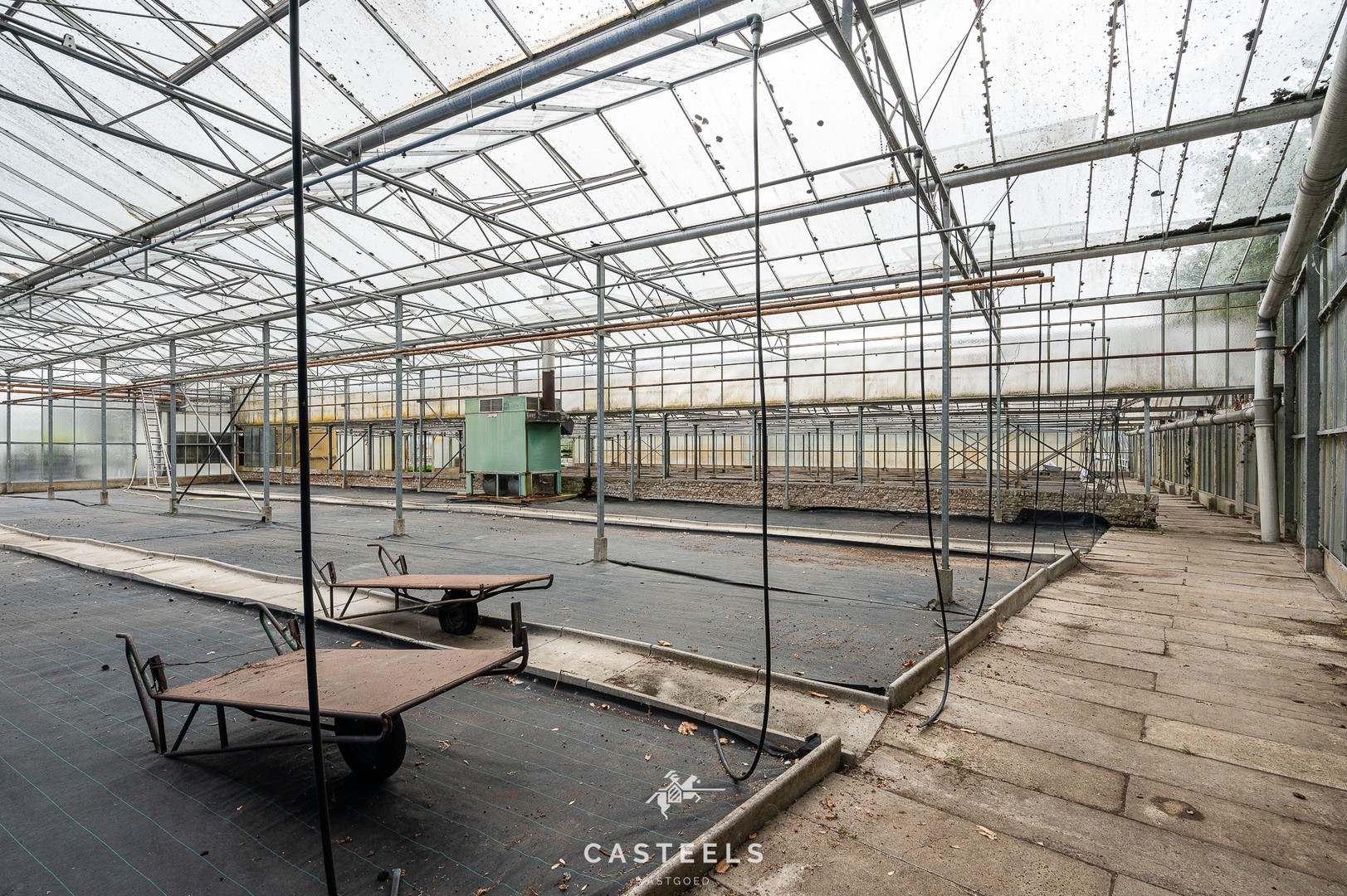 Serre op agrarische grond met logistieke toegangsweg - foto 3