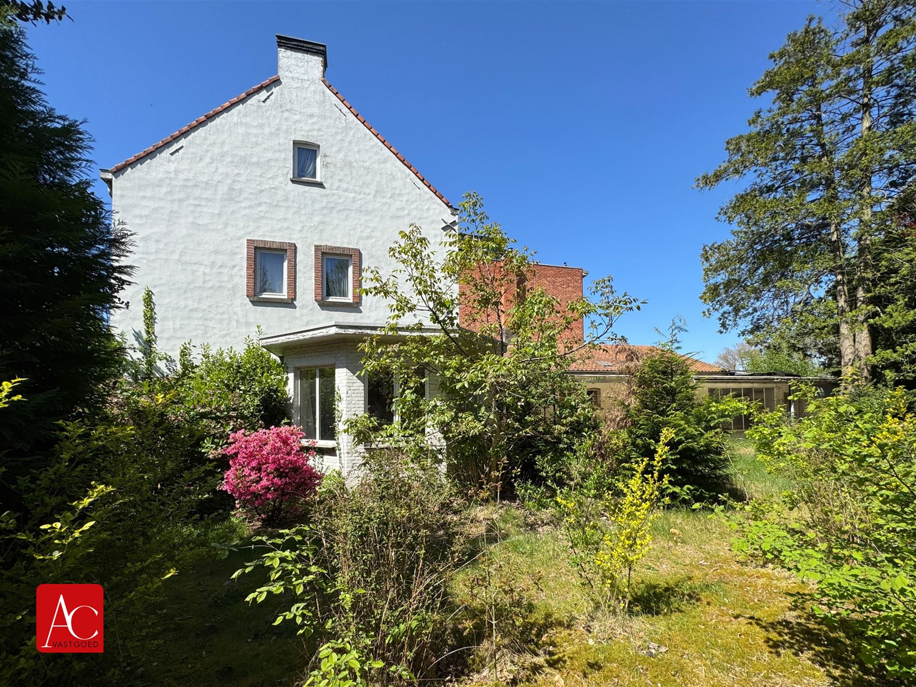 Renovatiewoning op ruim perceel of projectgrond - foto 5