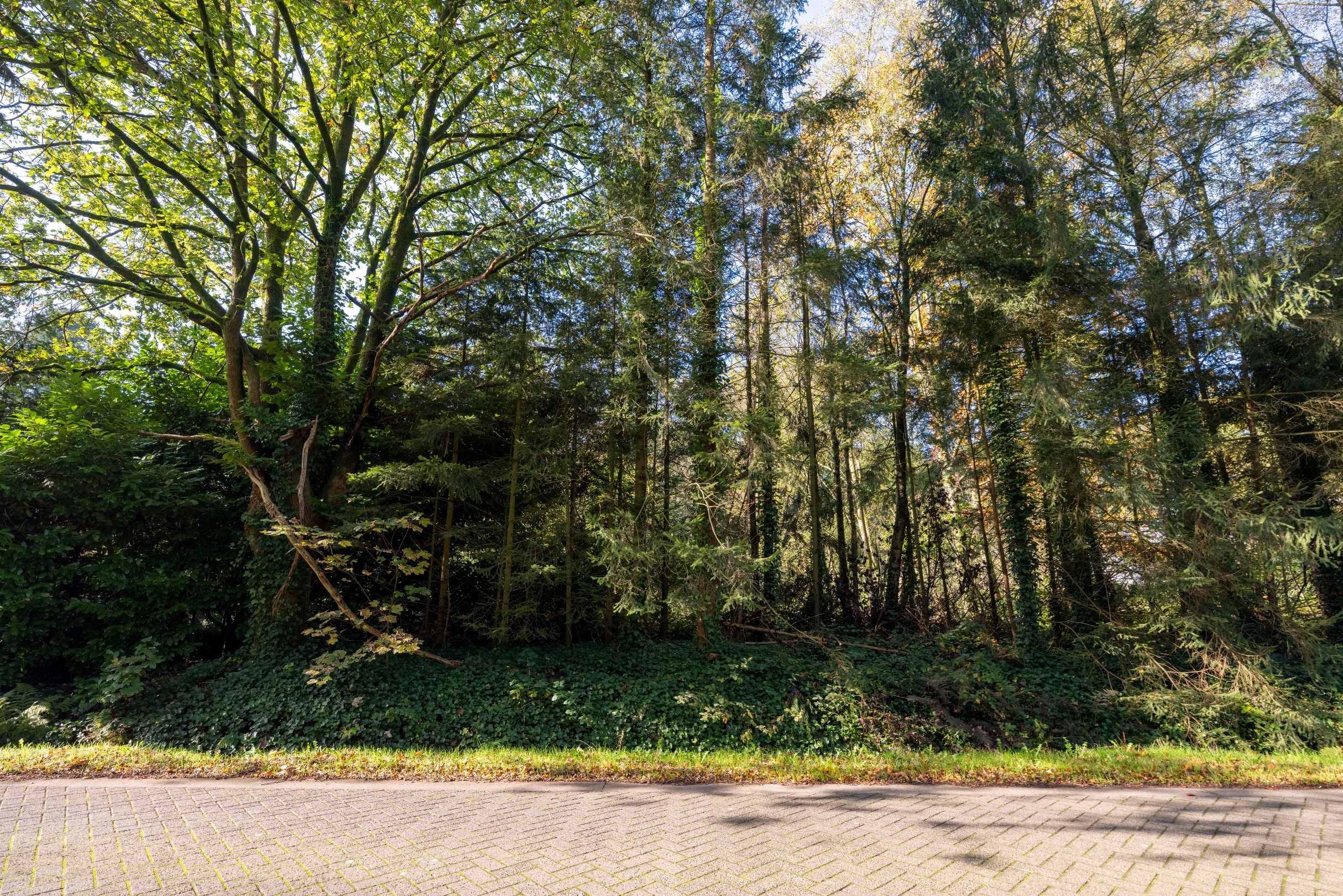 Terrain à vendre à Oud-Turnhout - photo 3