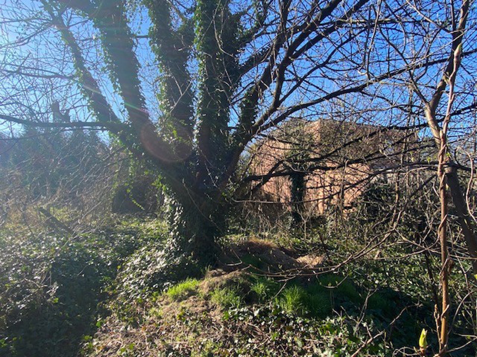 Bouwgrond voor halfopen bebouwing te Rotselaar. - foto 5