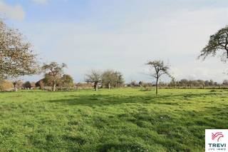 Beau terrain à bâtir avec accès à rue de 65 ares sis en zone d'habitat à caractère rural. Façade de +/- 25 m sur une profondeur de +/- 130 m. Libre...