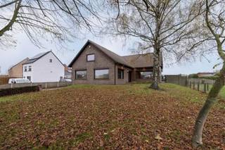 Welkom in deze ruime, veelzijdige woning in Olen, op 1200 m² grond, met bijna 300 m² bewoonbare oppervlakte. Er zijn 5 slaapkamers en de kelder is...