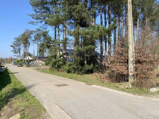 Terrain à vendre à Brecht