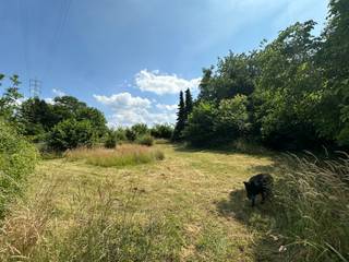 **handelspand met appartement woonst, toonzaal/showroom, atelier/loods en bouwgrond**Te Tienen-Hakendover bieden wij u een unieke...