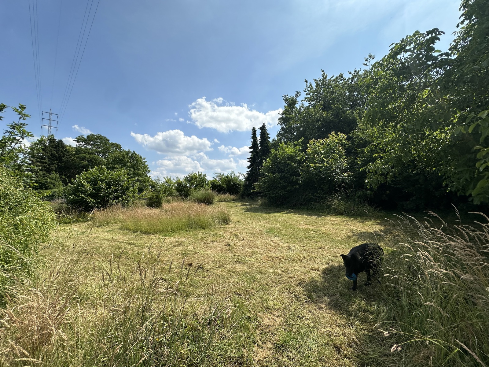 Handelsgebouw gemengd gebruik 32a40ca met BOUWGROND - foto 1