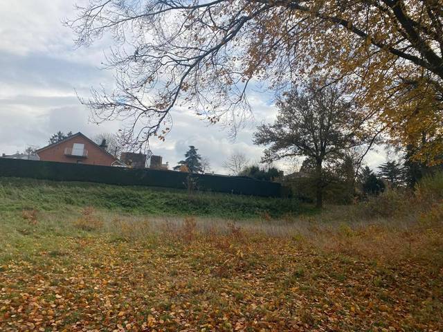 Project te koop in Herent