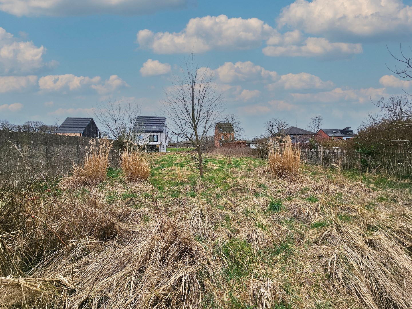 Land for sale in Wespelaar - photo 5