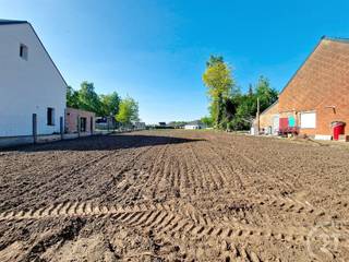 Maison à vendre à Begijnendijk