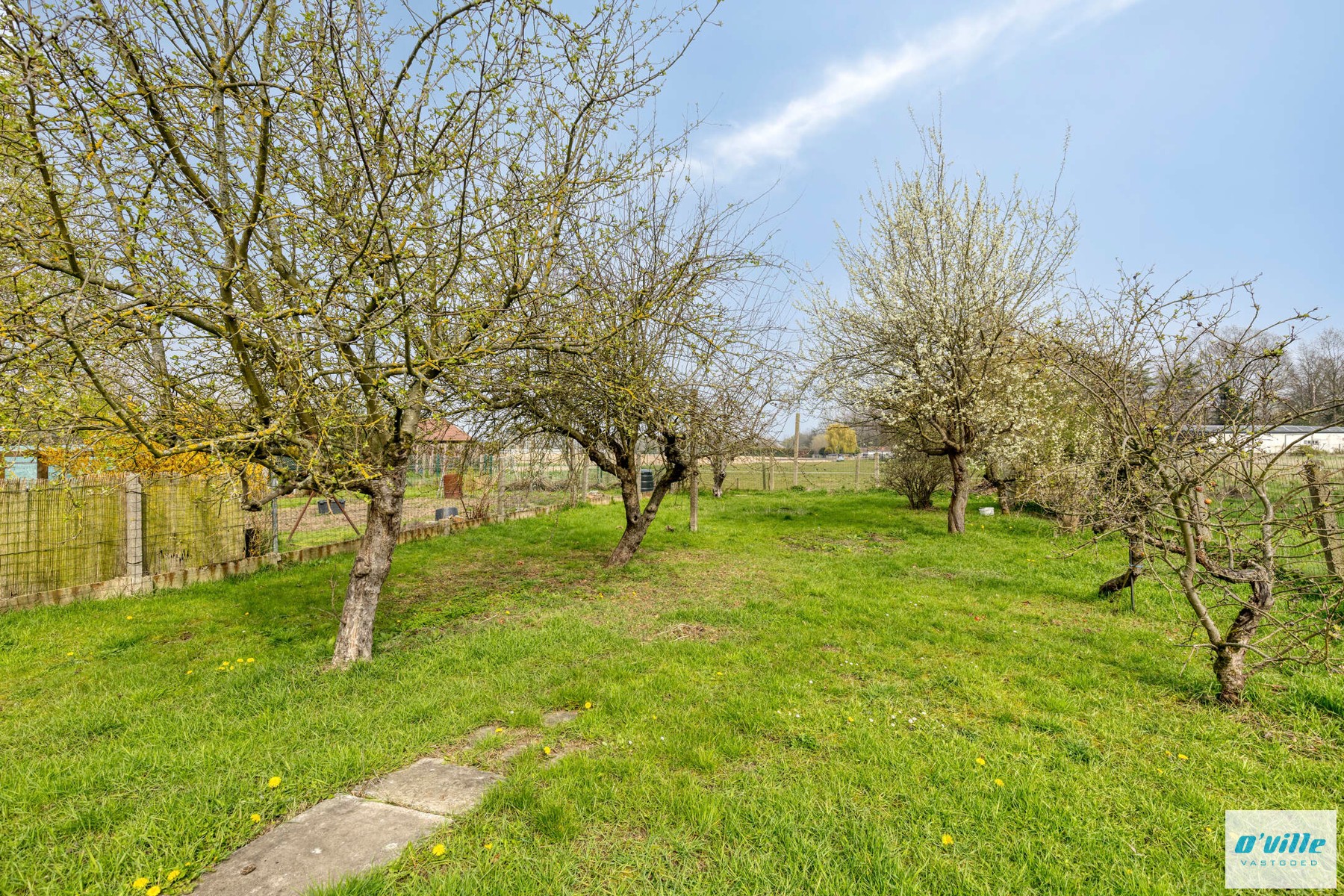 Charmante karakterwoning met grote tuin - foto 2
