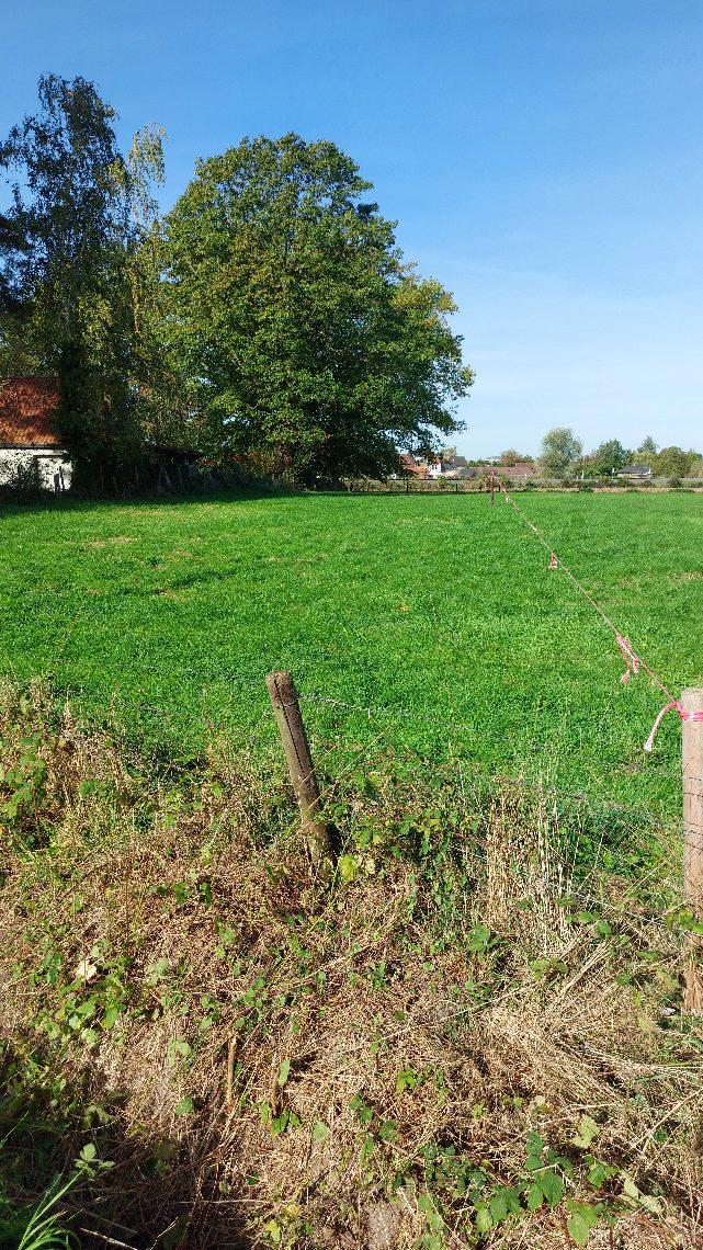 Grond te koop in Gontrode - foto 5