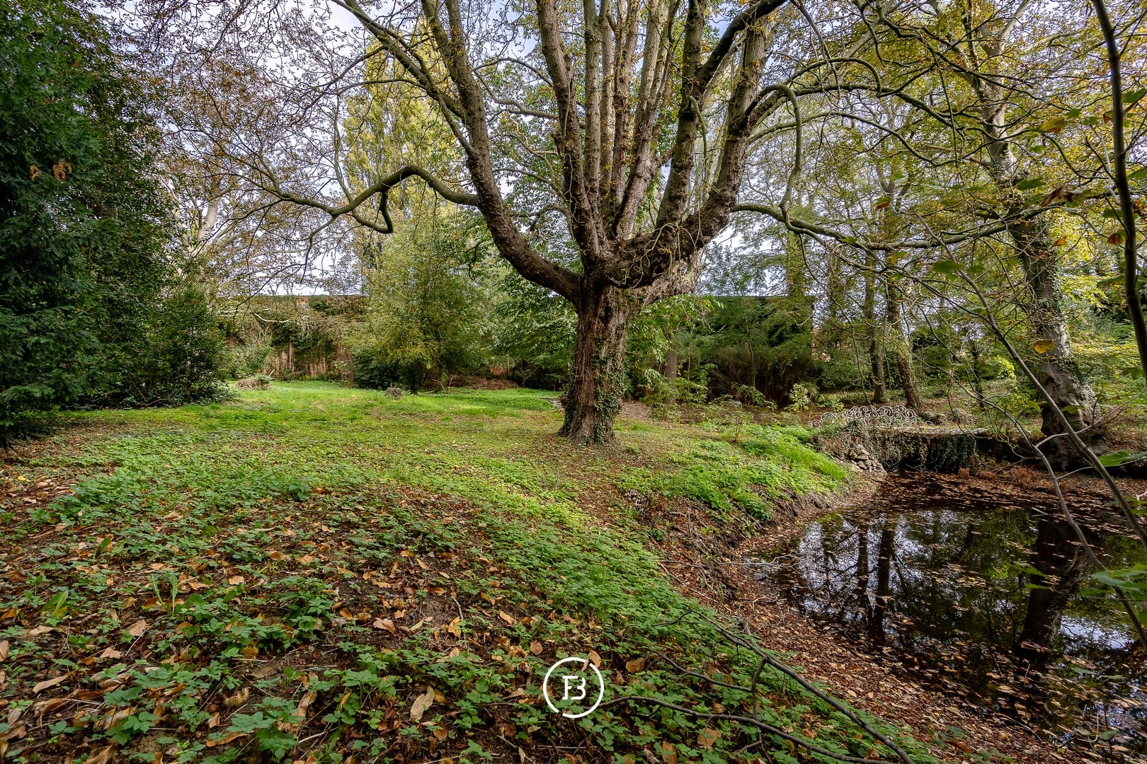 Brasserie Du Bois-Haems - photo 3