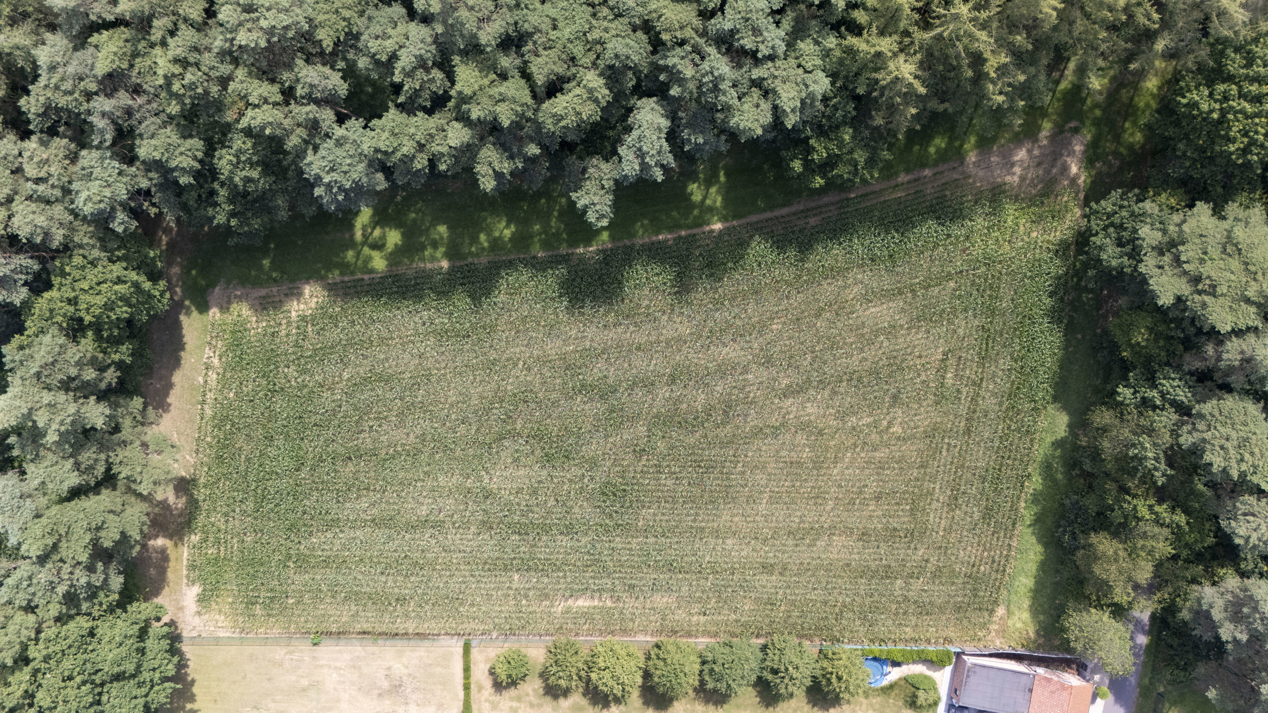 Bouwland van ca. 7995m² op grens met Vorselaar - foto 4