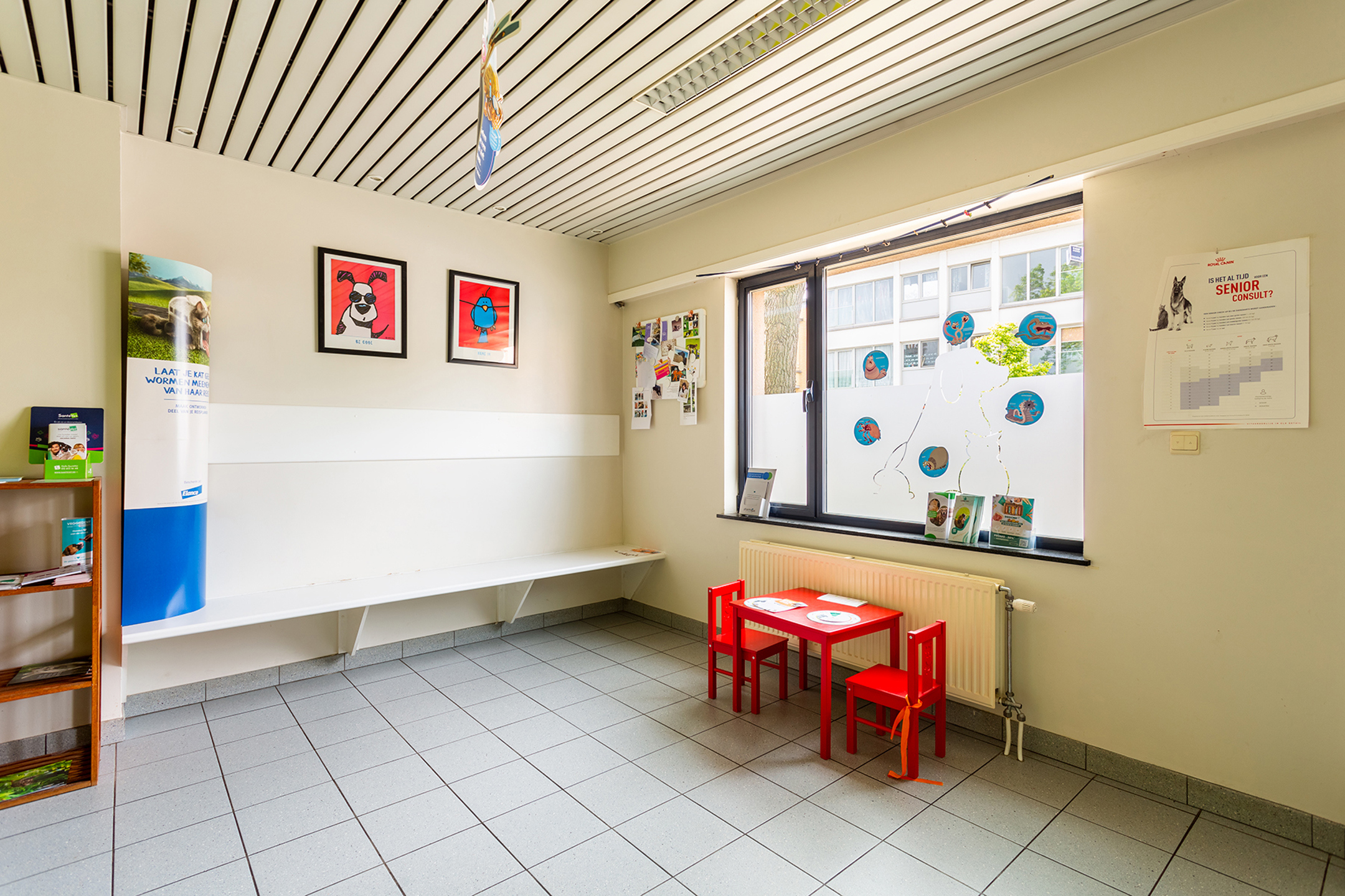 Ruim handelsgelijkvloers op toplocatie te Hove centrum - foto 2