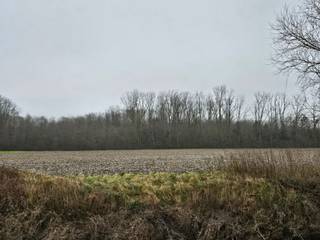 IN OPTIE !Samenvoegsel van verschillende percelen bosgrond met vijver. Kadastraal gekend als percelen bos (2), bouwland (3) en vijver.De gronden zijn...