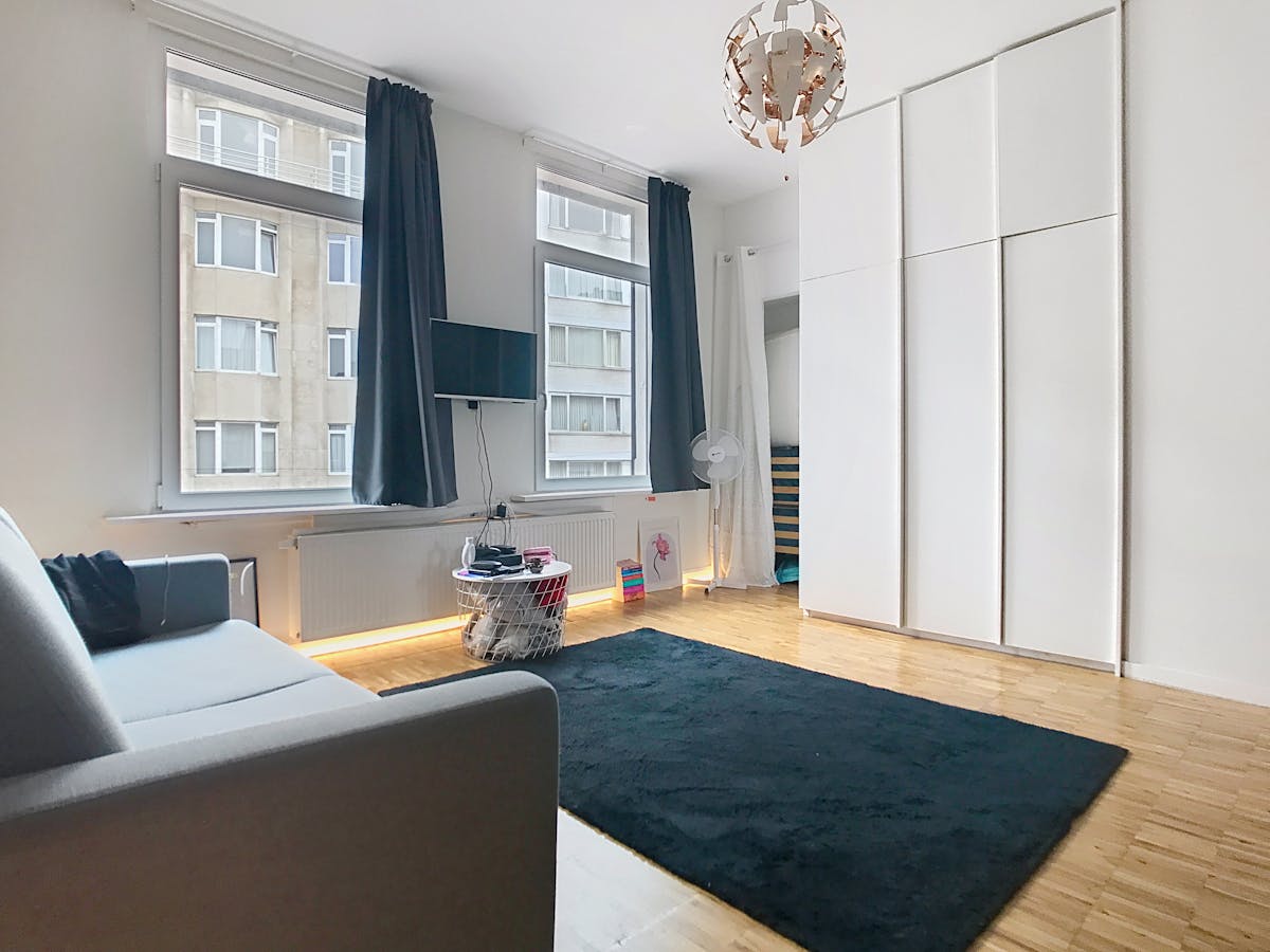 Instapklare studio te koop op centrale locatie te Antwerpen - foto 4
