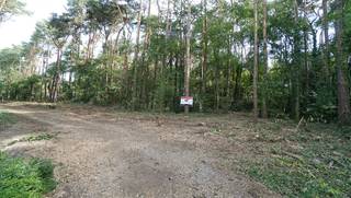 Rustig en residentieel gelegen bouwgrond van 31a10ca met aanpalende bosgrond van 37a50ca. Gelegen op het einde van een zijtak van de Tremelobaan.<br />Maximum bebouwbare oppervlakte: 250m². <br />Afmetingen: circa 60m x 115m.<br />Maximum kroonlijsthoogte: maximum 3,5m = verdieping onder dakhelling te voorzien.<br />Goedgekeurde verkaveling. Geen bouwverplichting.<br />Opmetingskosten ten laste van koper.<br />Adres: Tremelobaan (zijtak tussen nrs. 108 en 110A).<br />Plannen en voorschriften op https://www.schoeters.be/portefeuille/detail.php?item=b&amp;sorting=&amp;ref=10601<br />Stedenbouwinfo: woonpark = residentieel woongebied - verkavelingsvergunning - geen voorkooprecht - geen rechterlijke herstelmaatregel of bestuurlijke maatregel opgelegd. Perceelscore D. Geen risicozone voor overstromingen