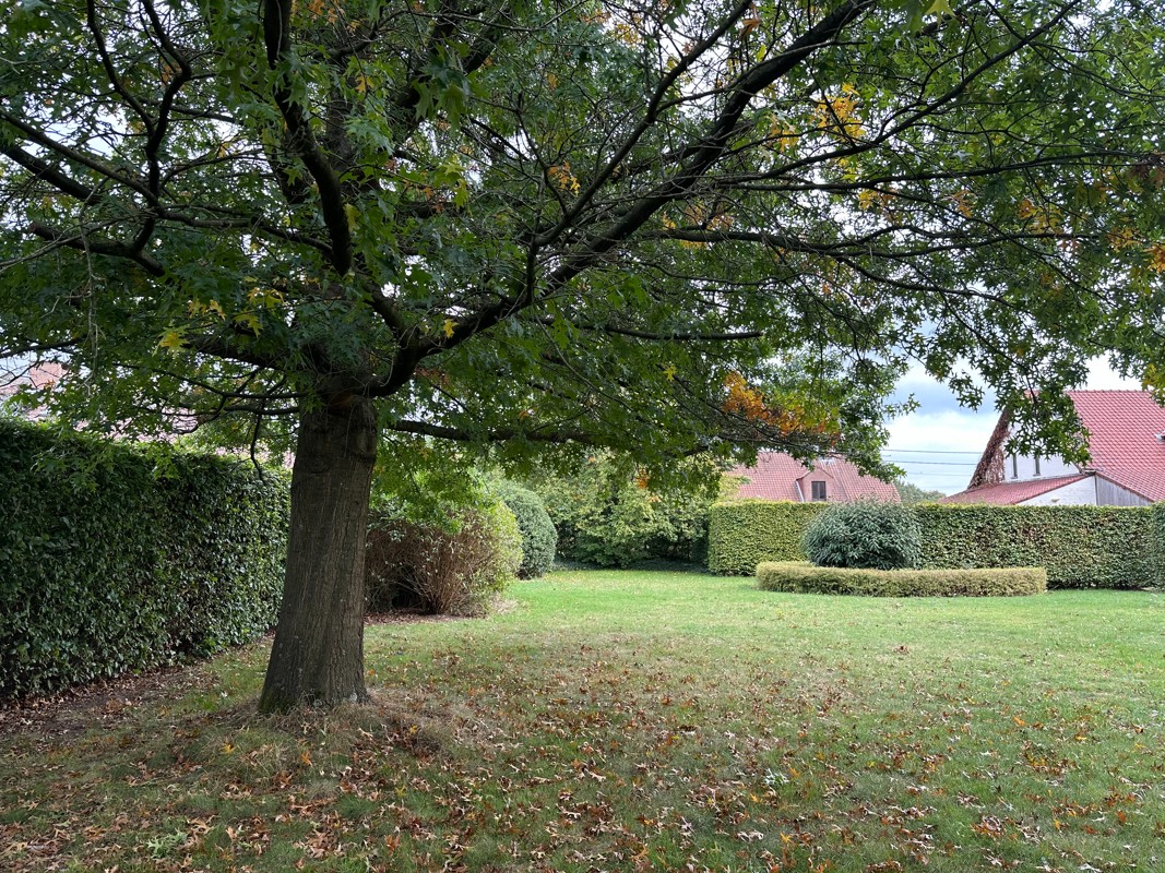 Prachtige ZW gerichte bouwgrond van 941 m² met volwassen tuin. - foto 4