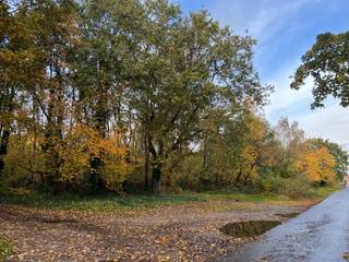 Dit perceel maakt deel uit van een groter geheel aan 'woeste grond- heidegrond' in agrarisch gebied en is gelegen langs een wegenis...