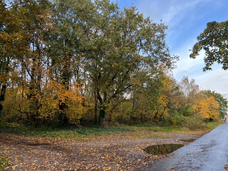 Grond gelegen aan servitudewegenis - photo 3