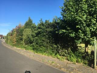 Deze moderne woning bouwen we aan de rand van Roeselare, in een rustige en aangename woonbuurt. Je woont er op wandel- en fietsafstand van winkels, scholen en openbaar vervoer. Via de N36 geniet je van een vlotte verbinding. Vlakbij is er een ruiterpad: je fietst of wandelt er vlot en veilig naar het centrum.
De woning beschikt over een ruime woon- en eetkamer, een (naar eigen keuze) ingerichte keuken, berging, 3 slaapkamers en badkamer. Je kiest zelf de afwerkingsmaterialen voor keuken, badkamer, vloeren en binnendeuren. Een kijkje nemen? Je vindt de locatie rechts naast Cipressenstraat 15.