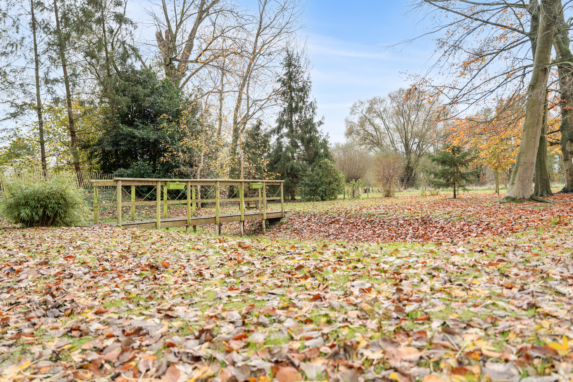 Ruime woning met prachtige grote tuin in Lebbeke - foto 2