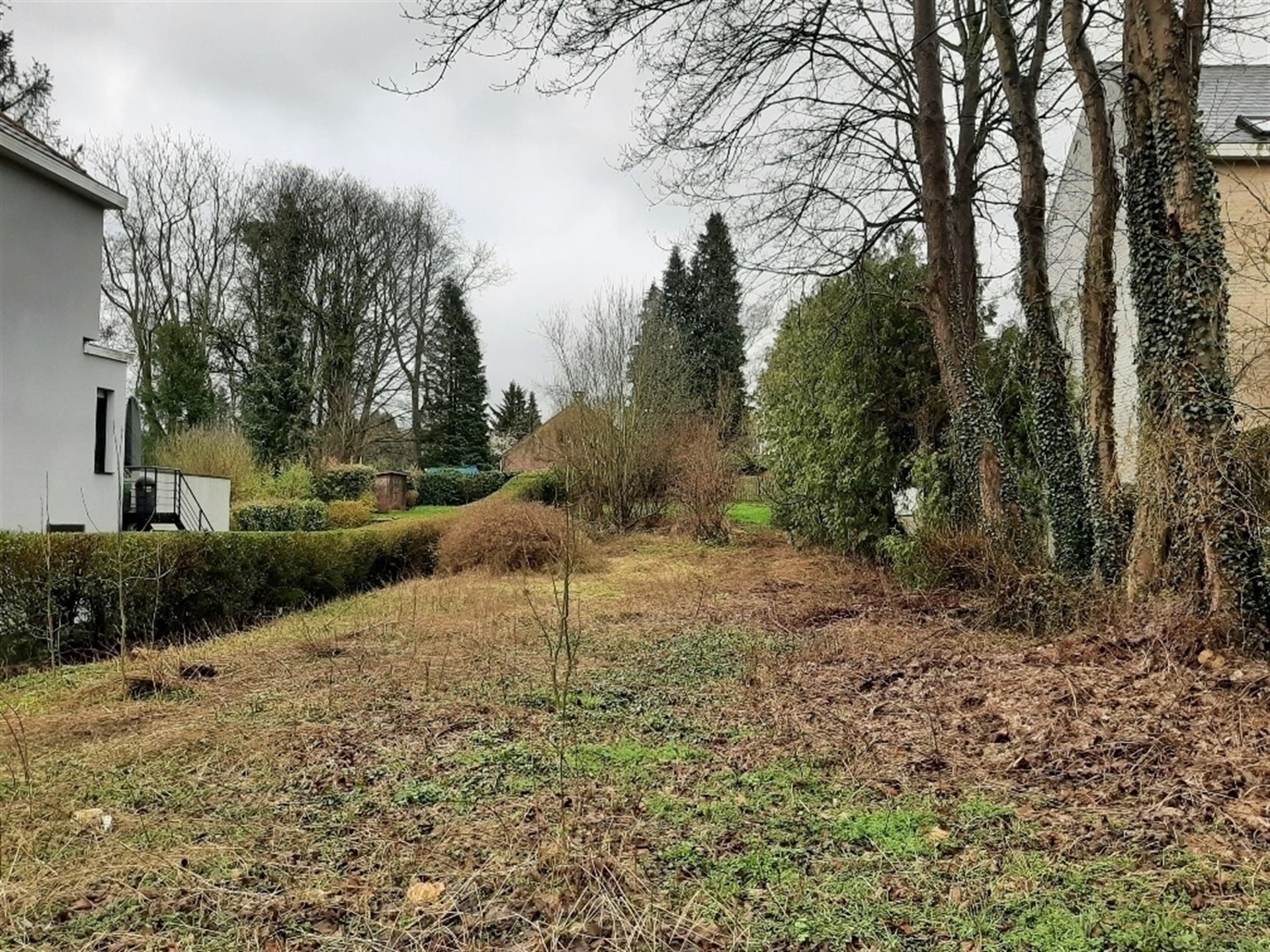 Building land - photo 2