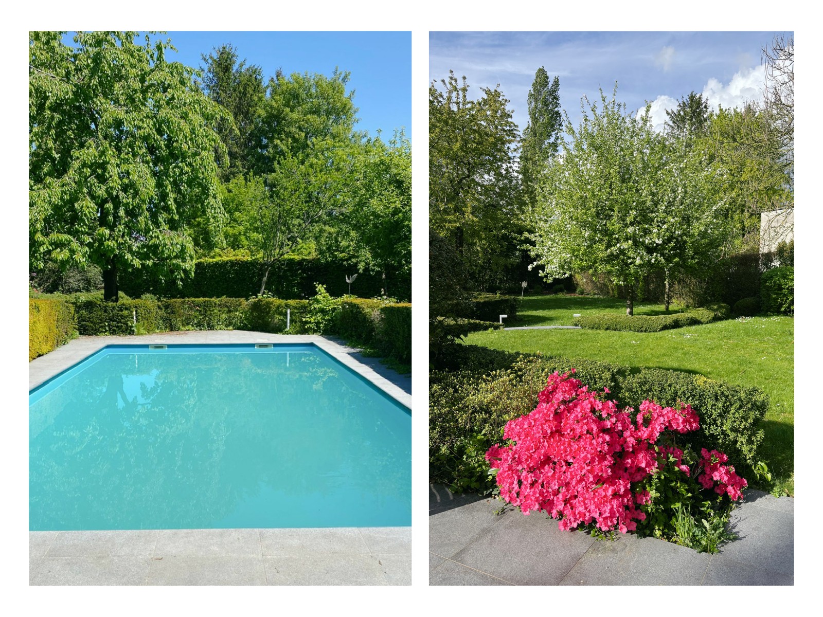 Exclusieve villa op uitzonderlijk perceel van 1 767 m², grenzend aan natuurgebied - foto 2