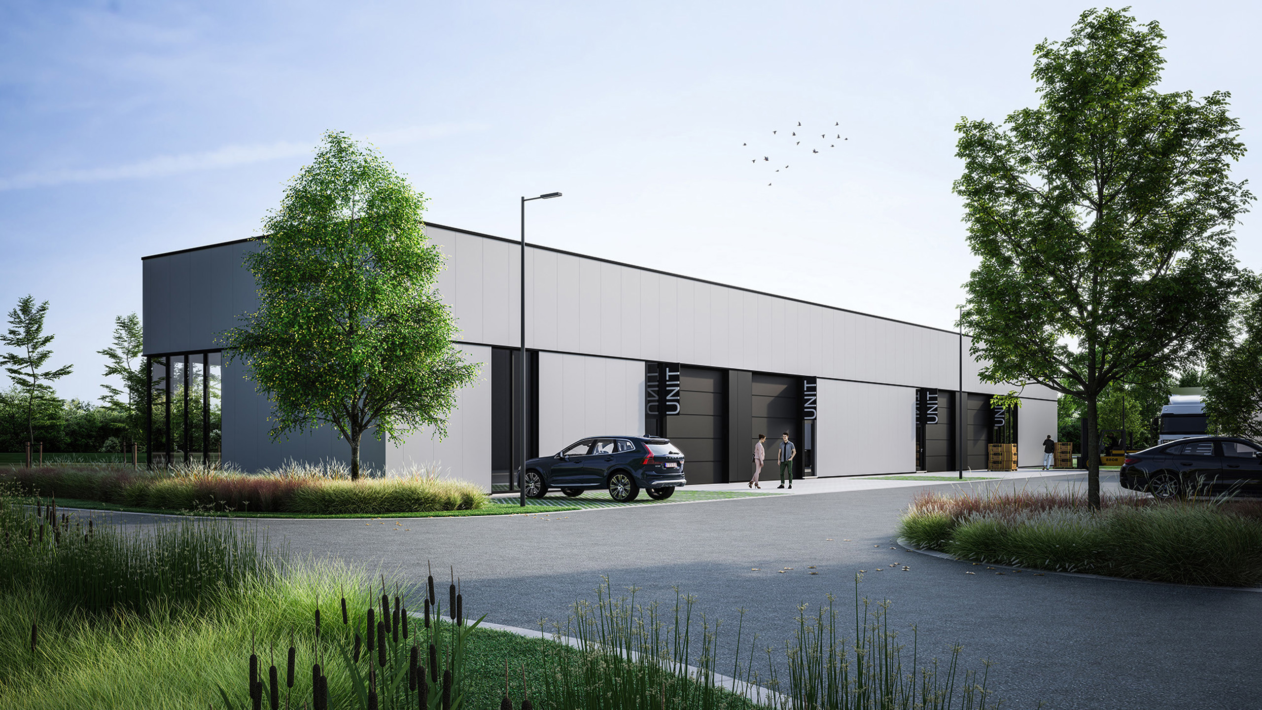 Commercial à vendre à Maaseik - photo 2