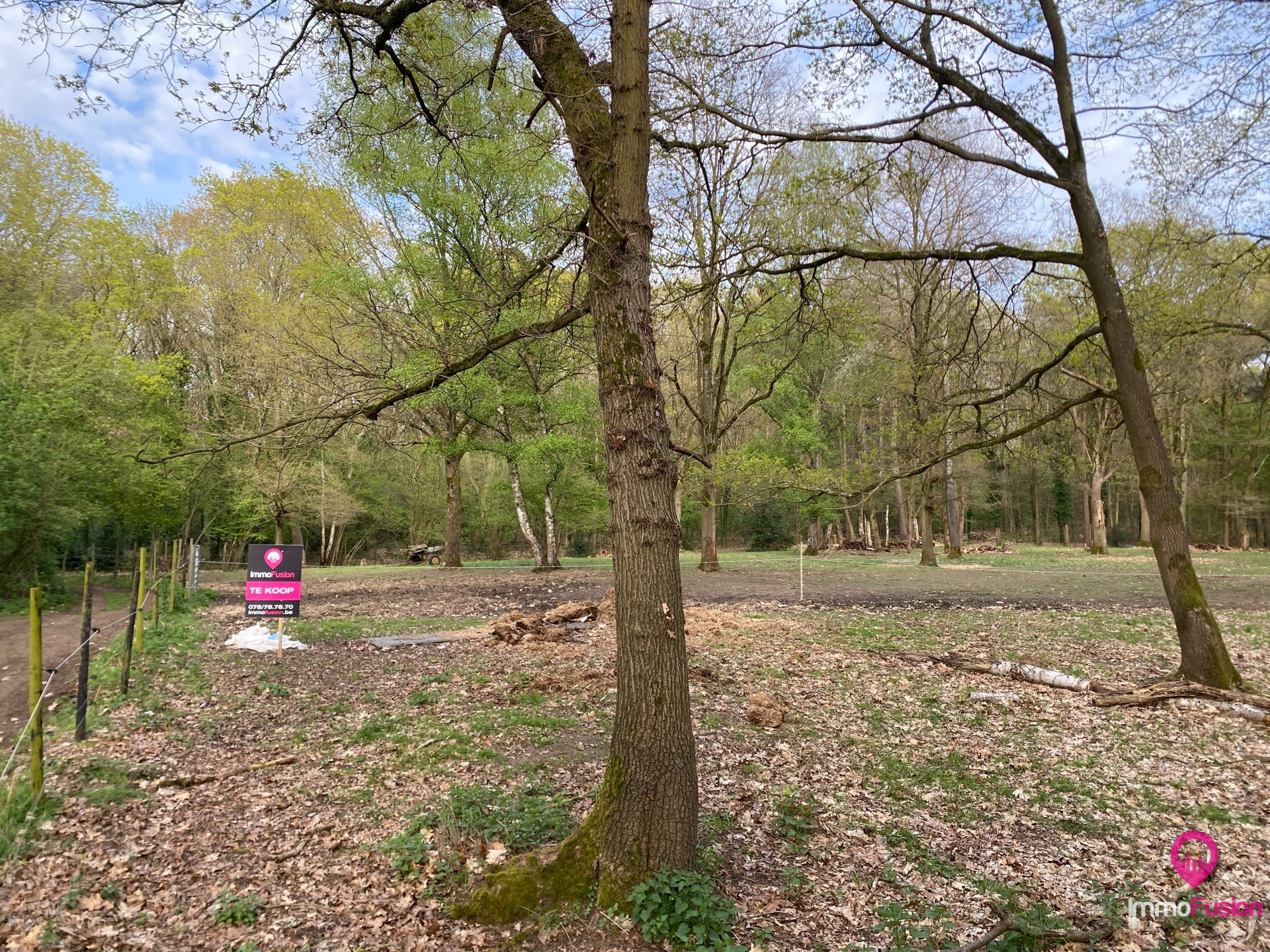 Landelijke weide voor dieren- en natuurliefhebbers! - foto 4