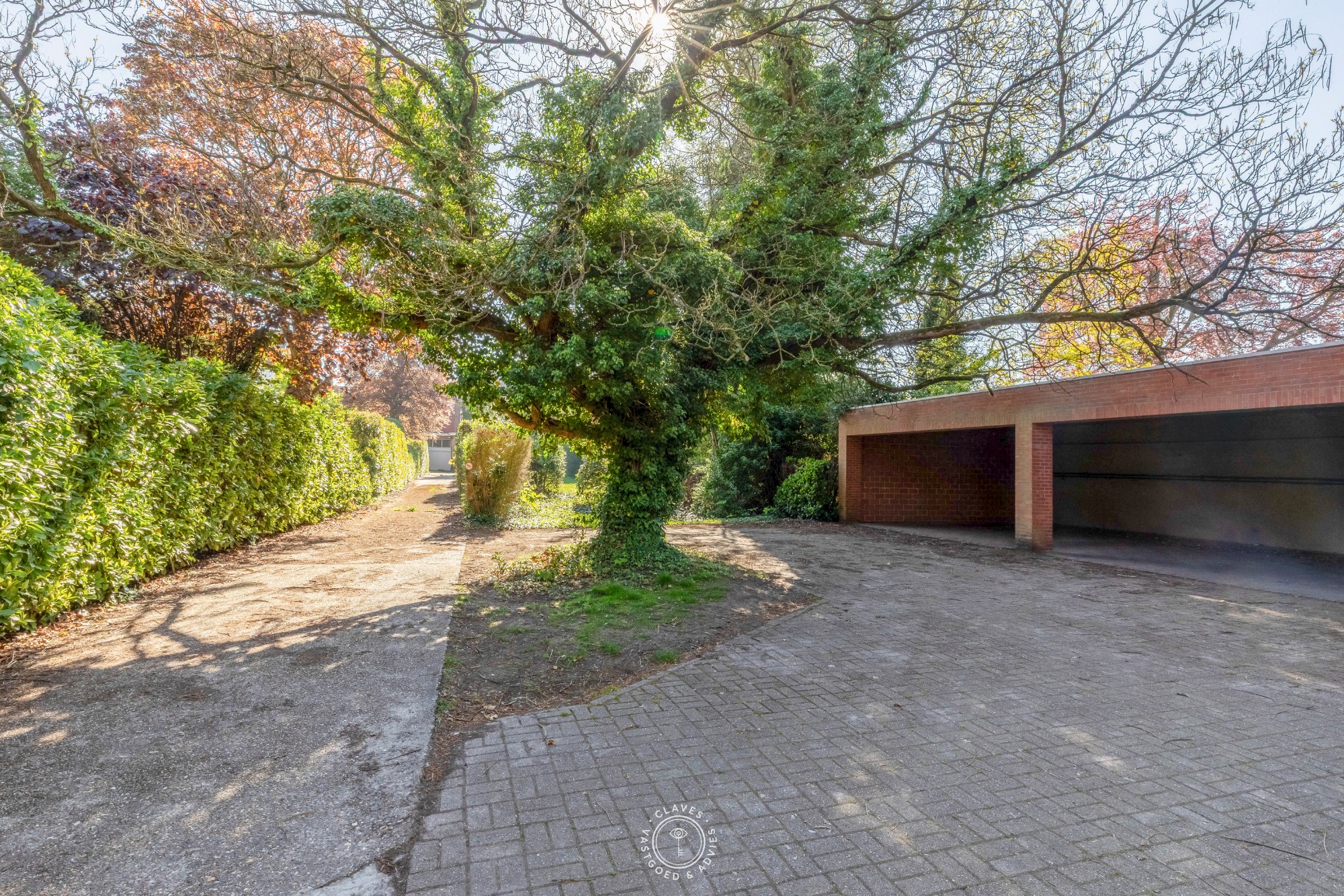 Commercial à vendre à Saint-Nicolas avec 6 chambres - photo 4