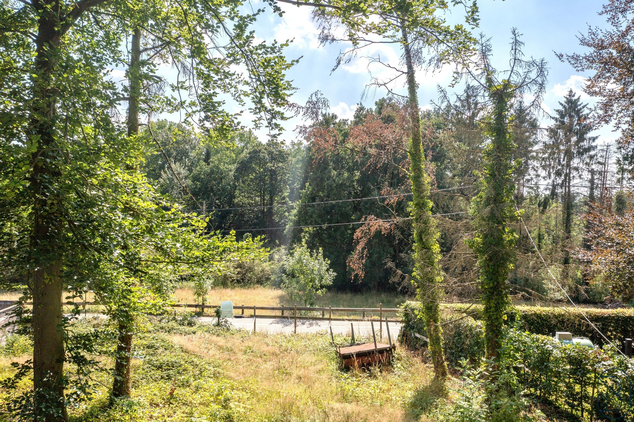 PRACHTIG gelegen (aan het KLUISBOS) te renoveren LANDHUIS! - foto 4