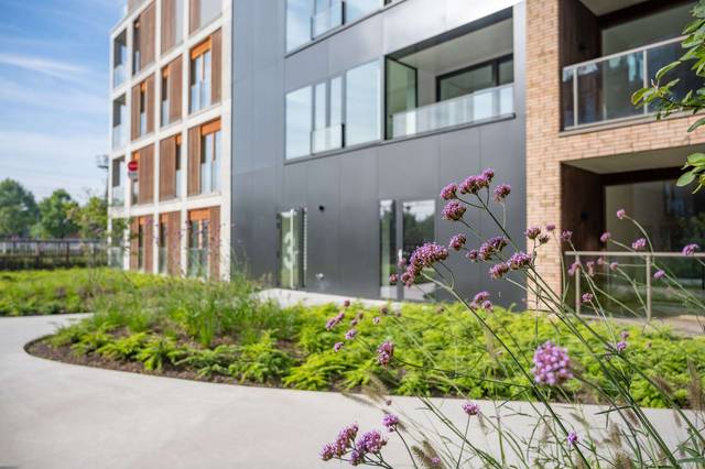 Projet à vendre à Izegem