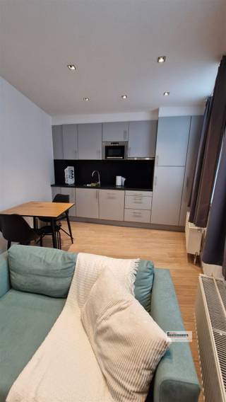 <p><span>Gemeubelde studio.</span></p><p><span> </span></p><p><span>Deze gerenoveerde studio is goed ingedeeld. Is voor 1 persoon.</span></p><p><span>De meubels blijven staan. Dubbele beglazing.  Leefruimte met open keuken op laminaat vloer;</span></p><p><span>Aparte badkamer met douche in bad. Aparte slaapkamer. Op het gelijkvloers kan een gemeenschappelijke</span></p><p><span>wasmachine en droogkast gebruikt worden.</span></p><p><span>Epc dateert van voor de renovatie. Dak is wel degelijk geïsoleerd.</span></p><p><span> </span></p>