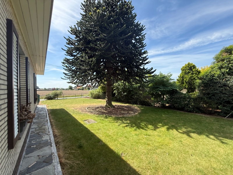 Ruime bungalow met grote tuin en loods te huur - photo 5