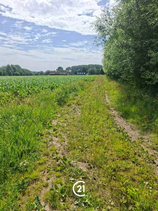 Prachtig stuk landbouwgrond, bereikbaar via een losweg, bestaande uit verschillende grote percelen en bij mekaar gelegen. De gronden zijn momenteel verpacht en uitstekend bereikbaar met landbouwvoertuigen. Ideaal als investering of voor toekomstig agrarisch gebruik.