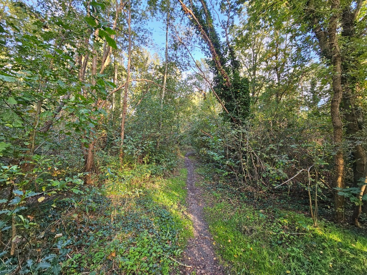 Land for sale in Rijmenam - photo 5