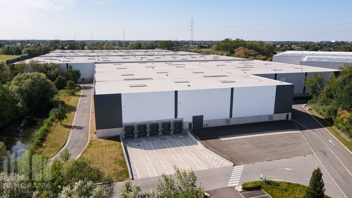 Logistiek magazijn te huur te Willebroek - foto 4