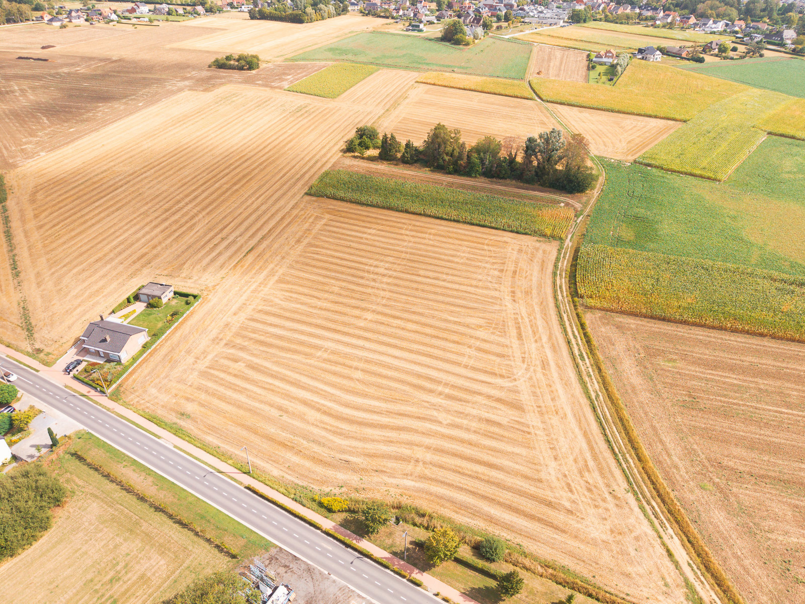 Goed gelegen perceel landbouwgrond in Kampenhout - foto 5