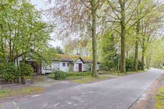 Badend in het groen van een impressionante bomenrij bevindt zich deze laagbouwvilla. In het jaar 1960 werd dit vrijstaand, gelijkvloers huis langs...