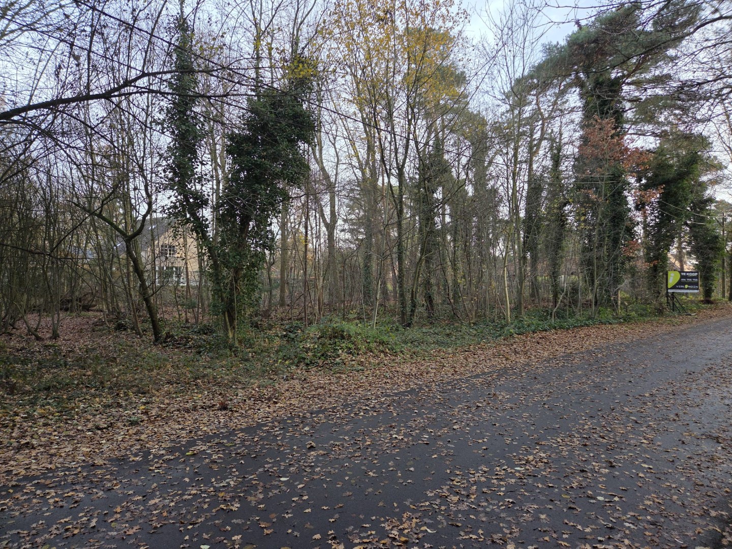 Land for sale in Balen - photo 3