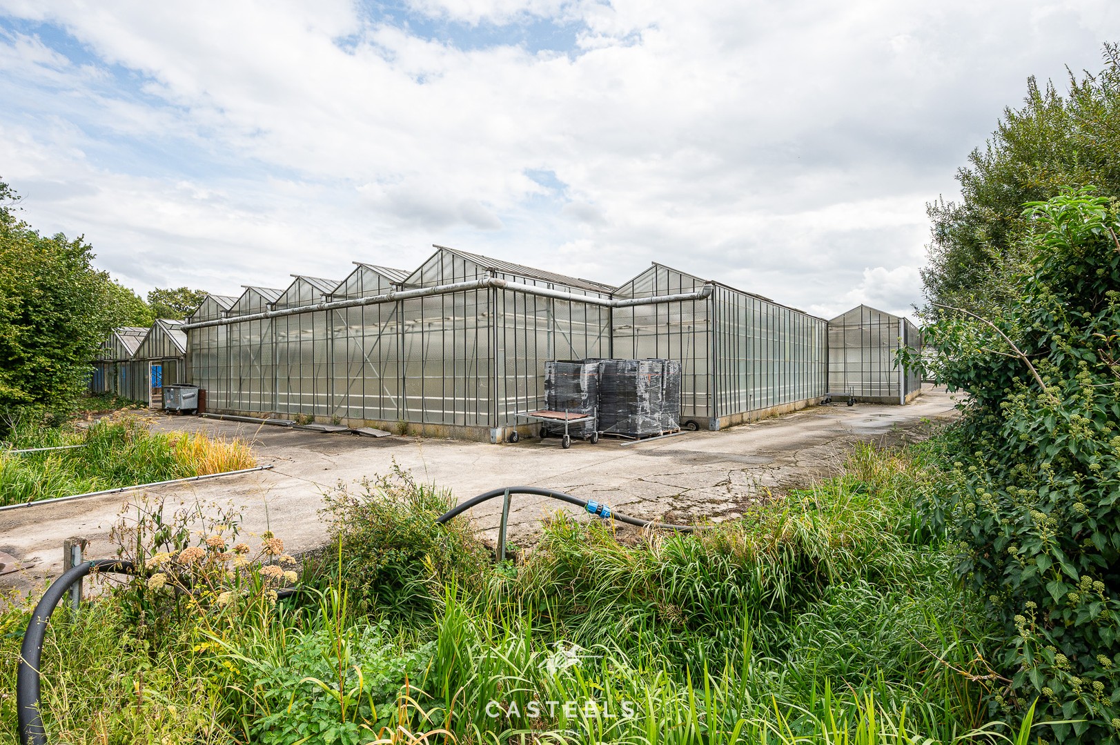 Serre op agrarische grond met logistieke toegangsweg - foto 4