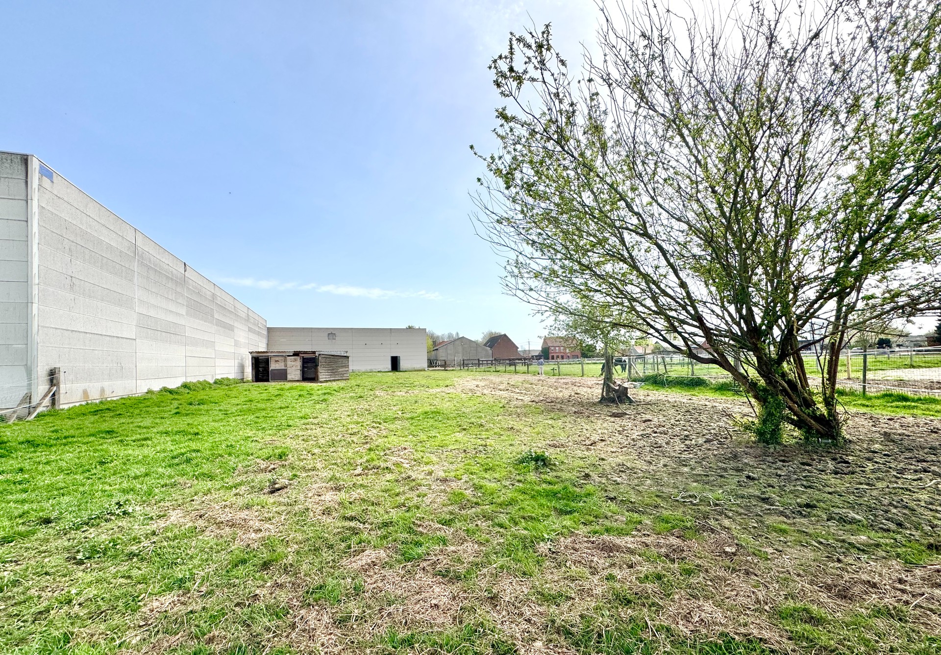 Commercial à vendre à Waregem - photo 4