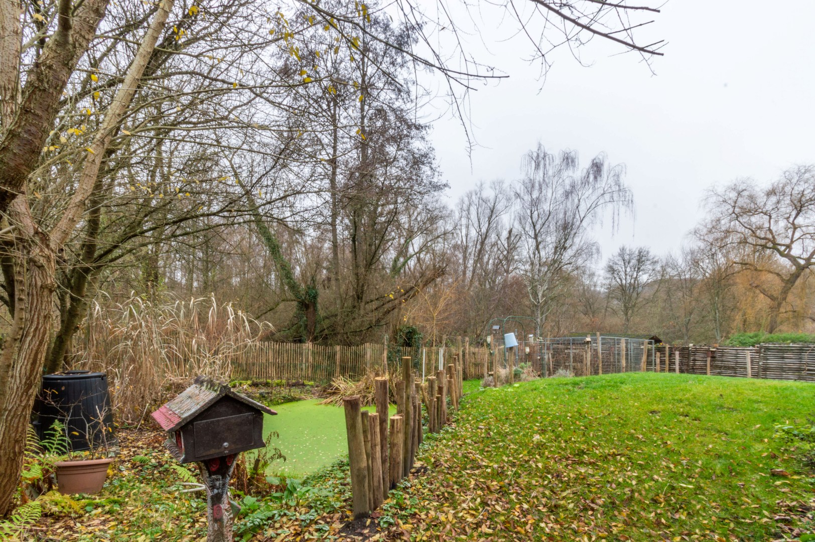 !!! BEZOEKEN: AANSTAANDE WO 17/12 15:30 - 17:00 !!! - foto 3