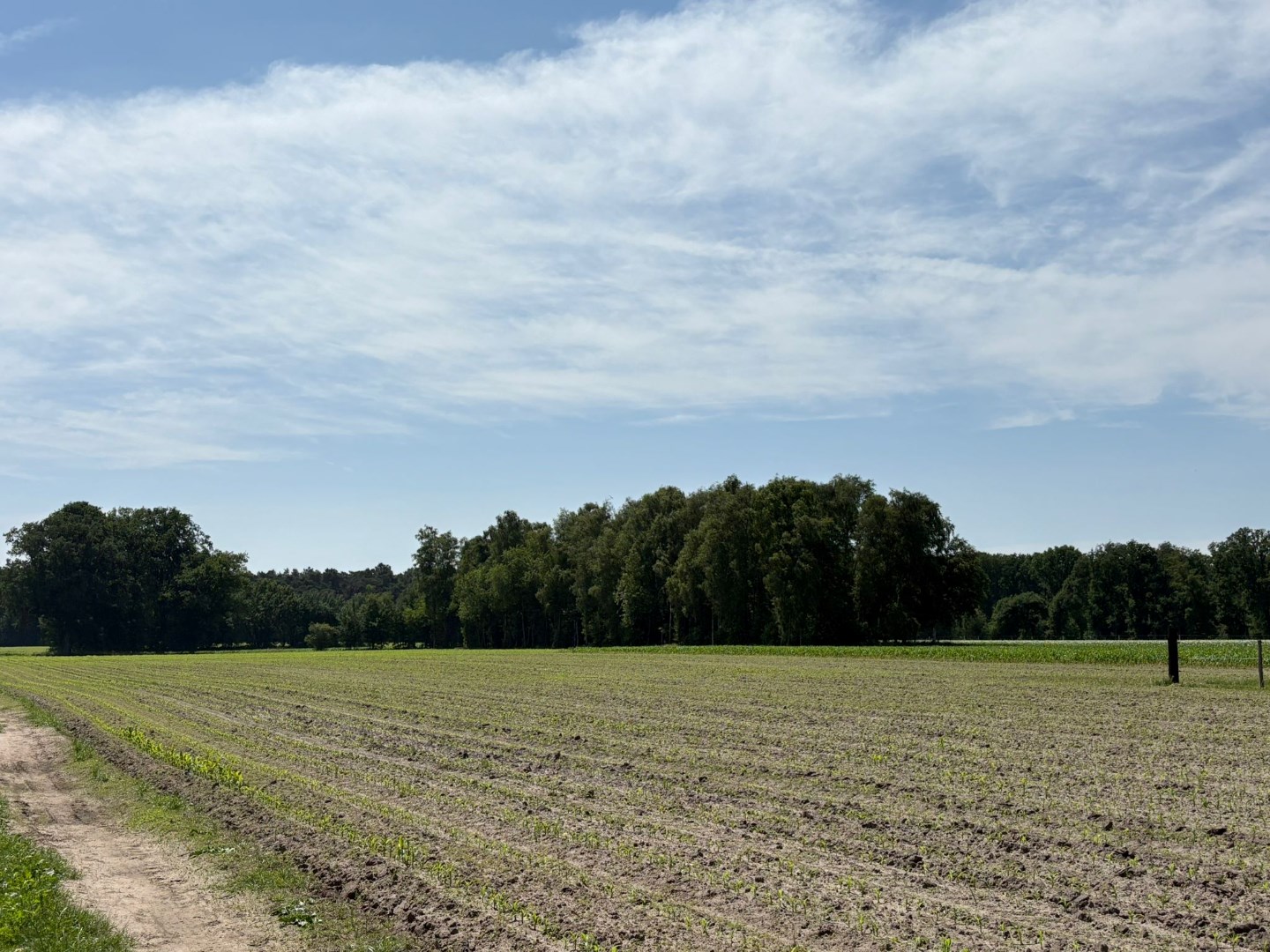 Mooi perceel weiland van 3.320 m², gelegen in Bel ! - foto 1