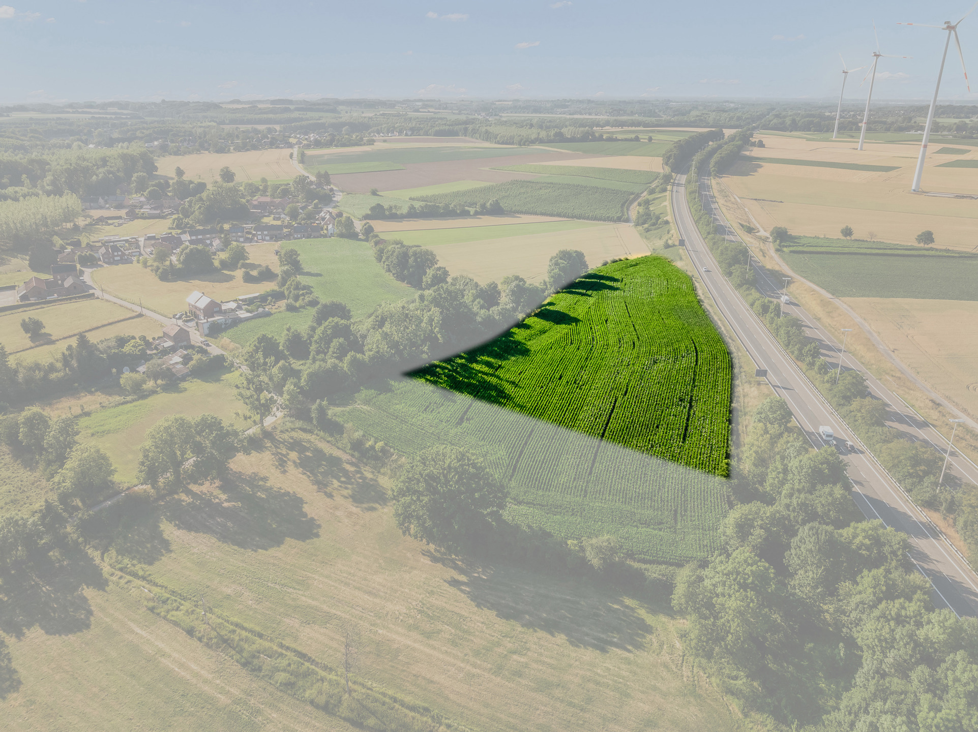 Landbouwgrond 1ha36a02ca te Ketsingen (Tongeren) - foto 2