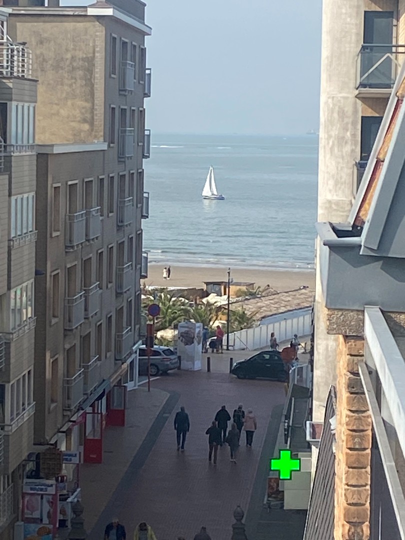 Ruim appartement met zeer groot zonneterras te Blankenberge - foto 4