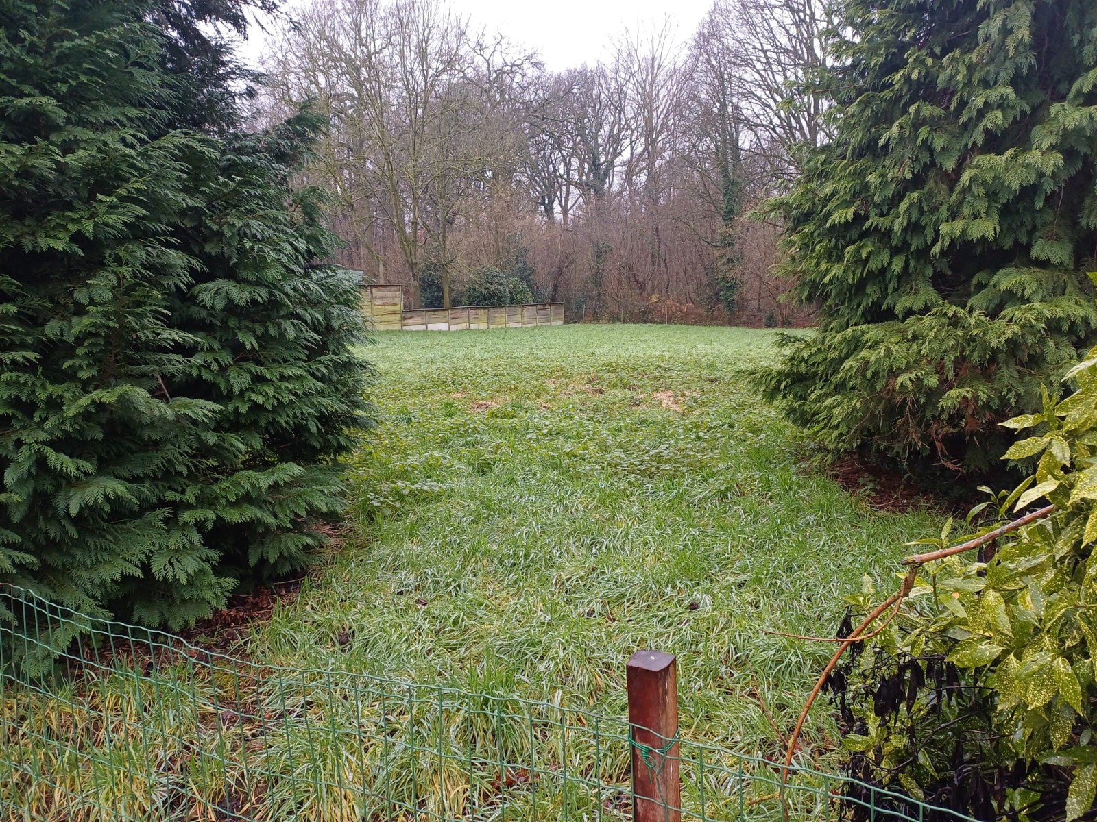 BOUWGROND VOOR OPEN BEBOUWING - foto 1