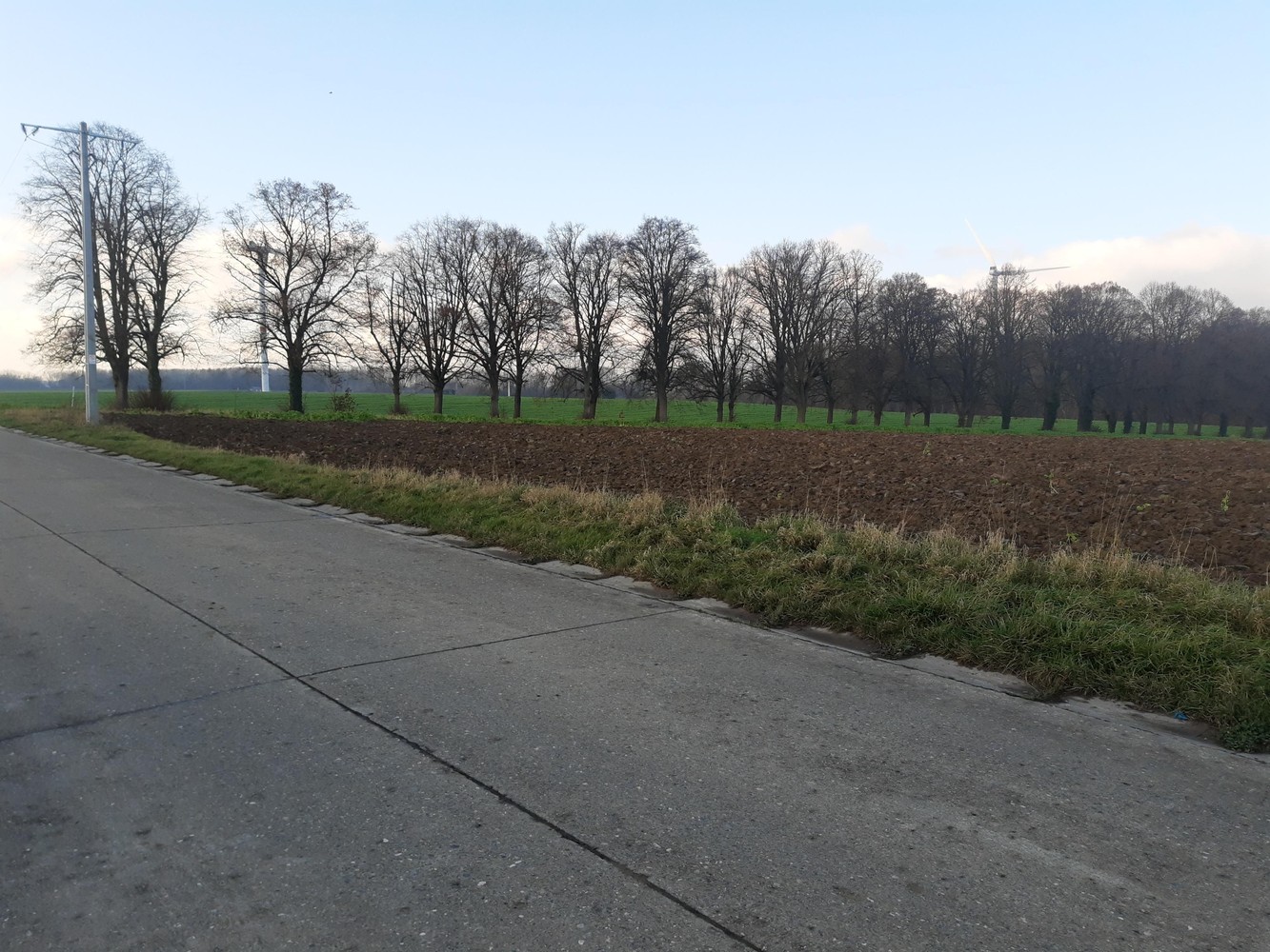 Land for sale in Fernelmont - photo 2