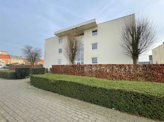 Appartement à louer à Termonde